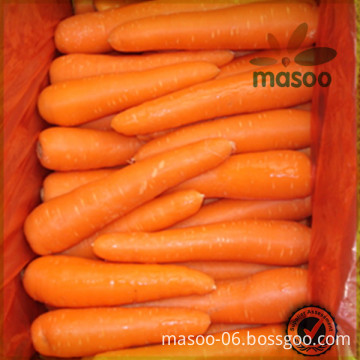 Fresh carrots, Fresh Vegetables, good quality from China